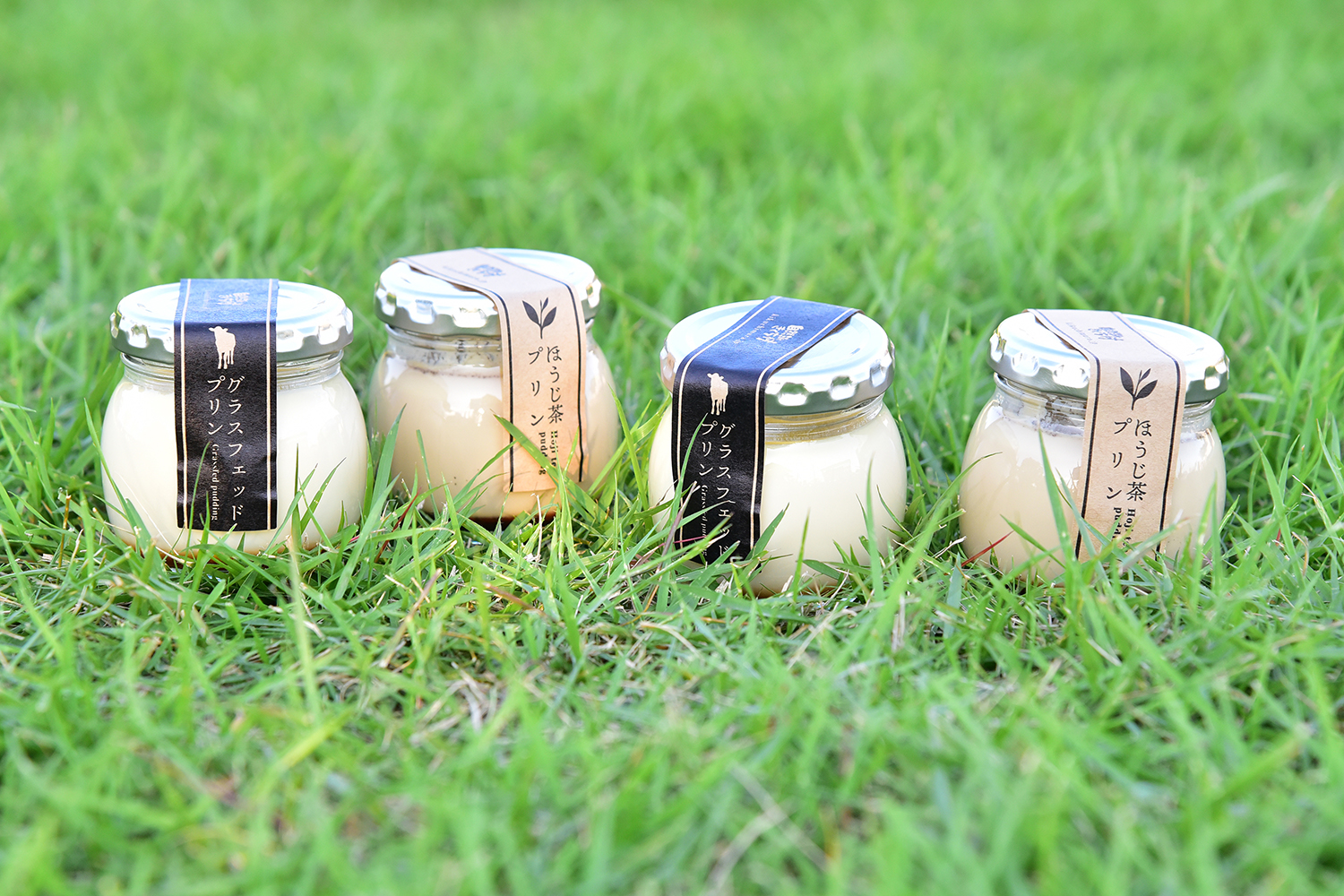 11/13(火)〜11/21(水) 自然派きくち村-丸の内直売所 -期間限定open !- 11/13(火)〜11/21(水) 自然派きくち村-丸の内直売所 -期間限定open !-