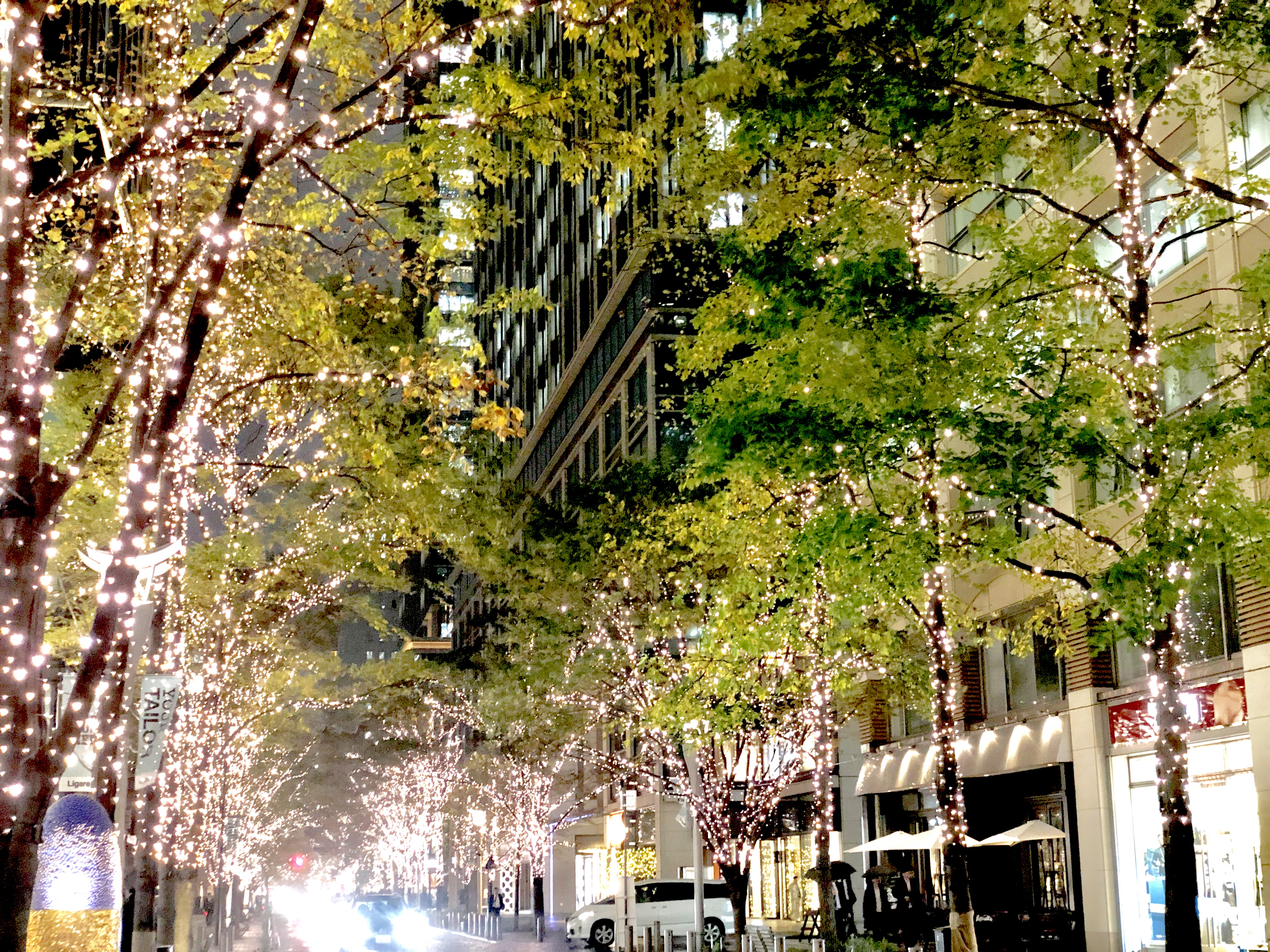 12/4wed〜12/25wed   Make a precious Christmas time at Marunouchi Happ.