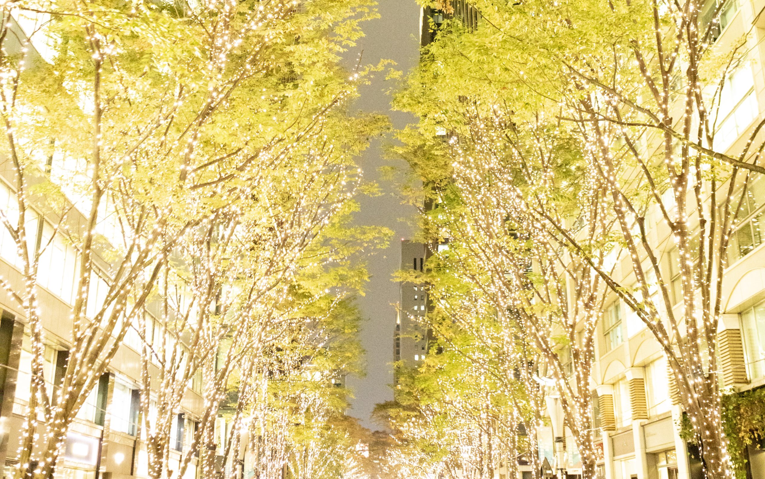 Marunouchi Happ.stand&gallery 12月1日(火)〜12月25日(金)Discover Marunouchi Special Christmas with Marunouchi Happ.を開催! Marunouchi Happ.stand&gallery 12月1日(火)〜12月25日(金)Discover Marunouchi Special Christmas with Marunouchi Happ.を開催!