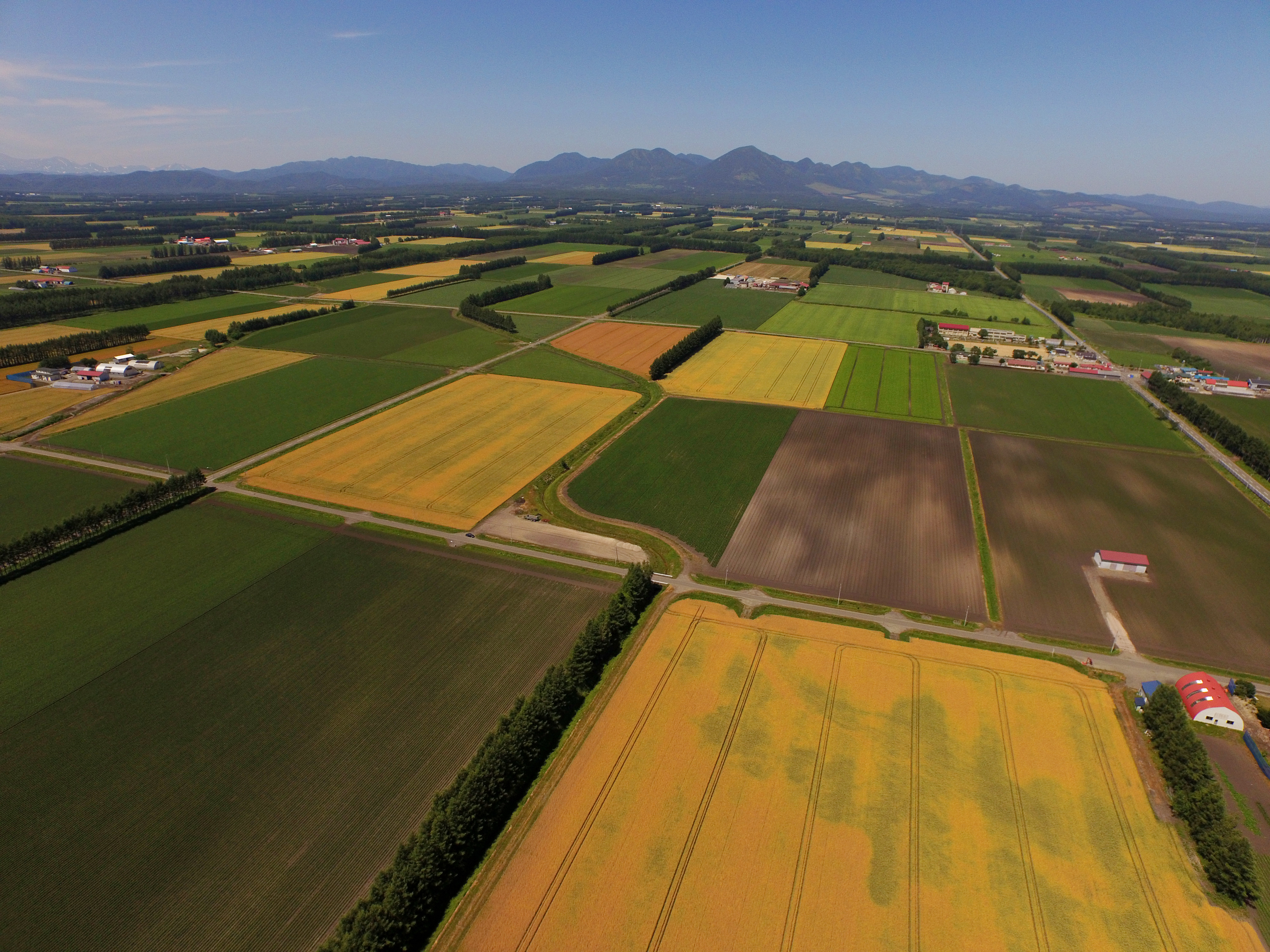 メニューに関する大事なお知らせ メニューに関する大事なお知らせ